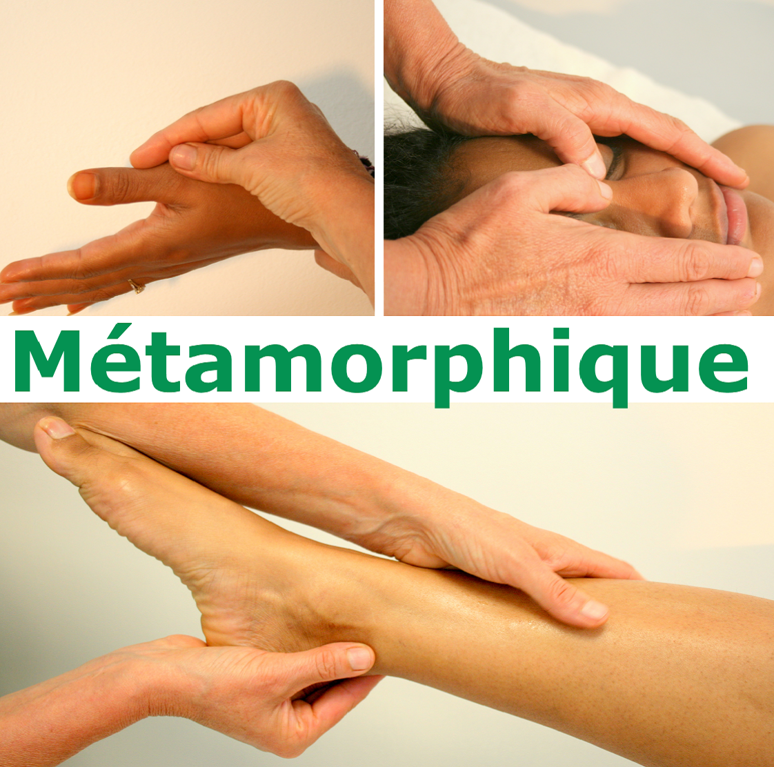 Métamorphique